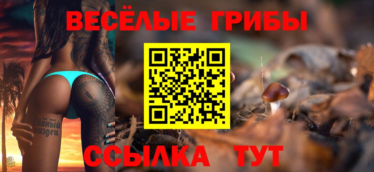 Псилоцибиновые грибы прущие грибы Фурманов