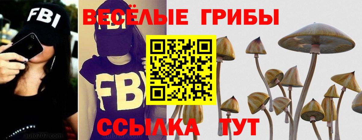 Галлюциногенные грибы Cubensis  Псилоцибиновые грибы прущие грибы  Вход с VPN  Фурманов 